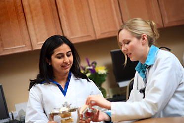 General Dentists in Peabody, MA